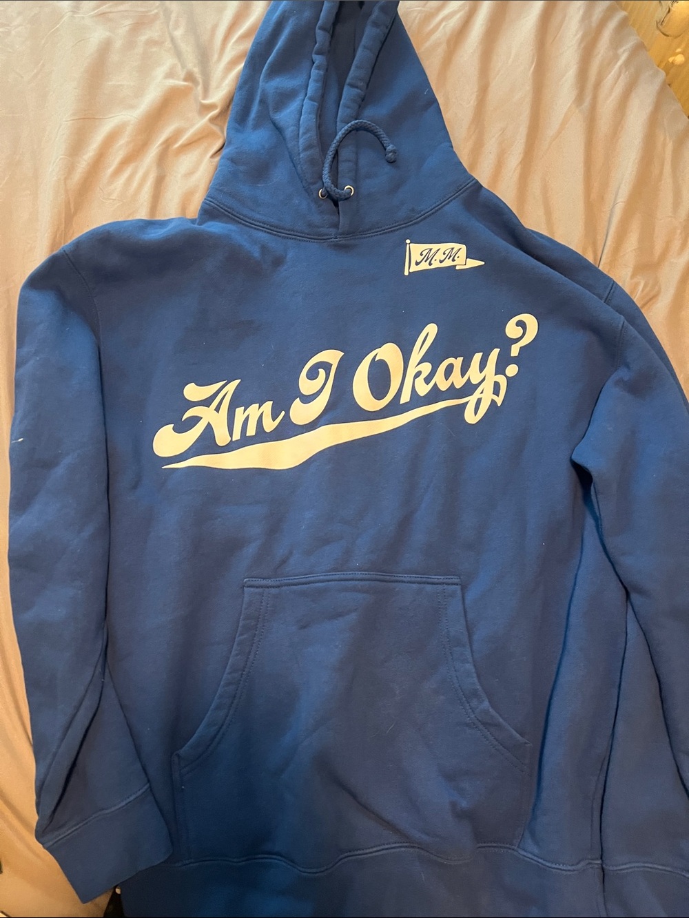 Blue 'Am I Okay?' Graphic Hoodie with Front Pocket
